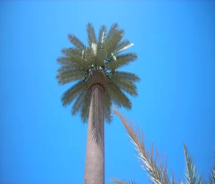 25m_Camouflage_Palm_Tree_Antenna_Microwave_Tower_01