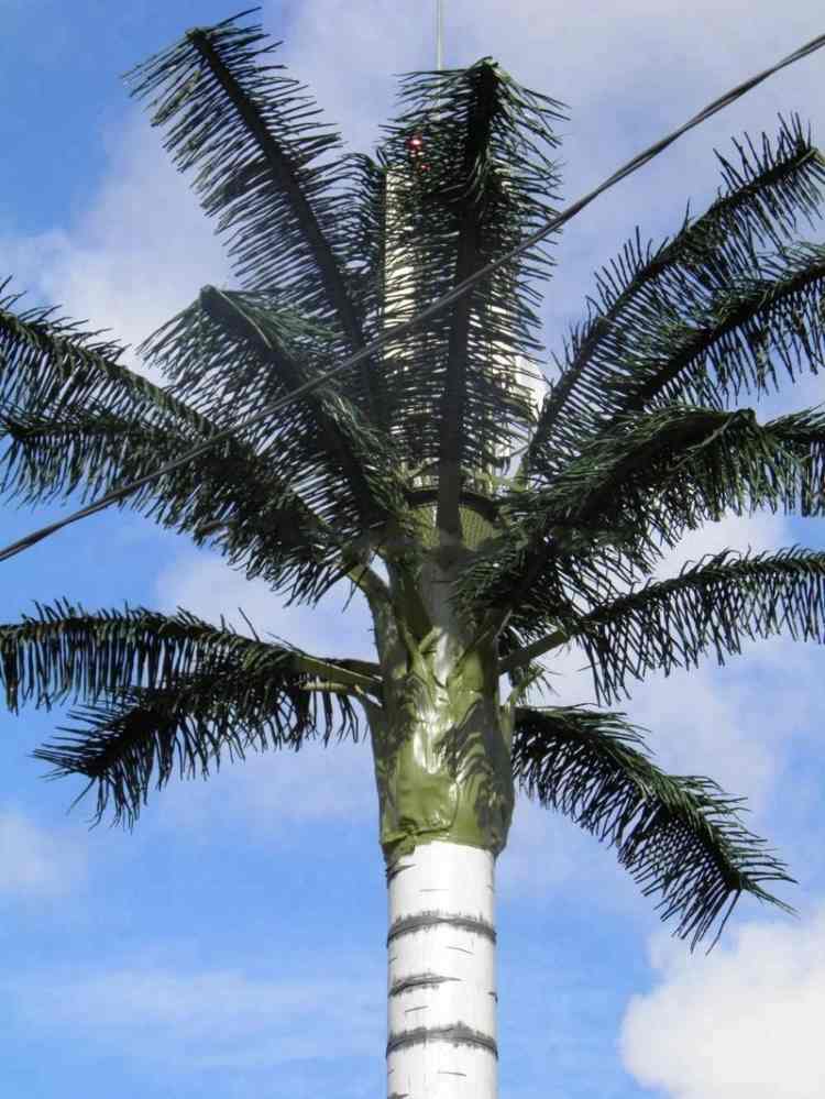 Camouflage_Coconut_Wifi_Tower_02