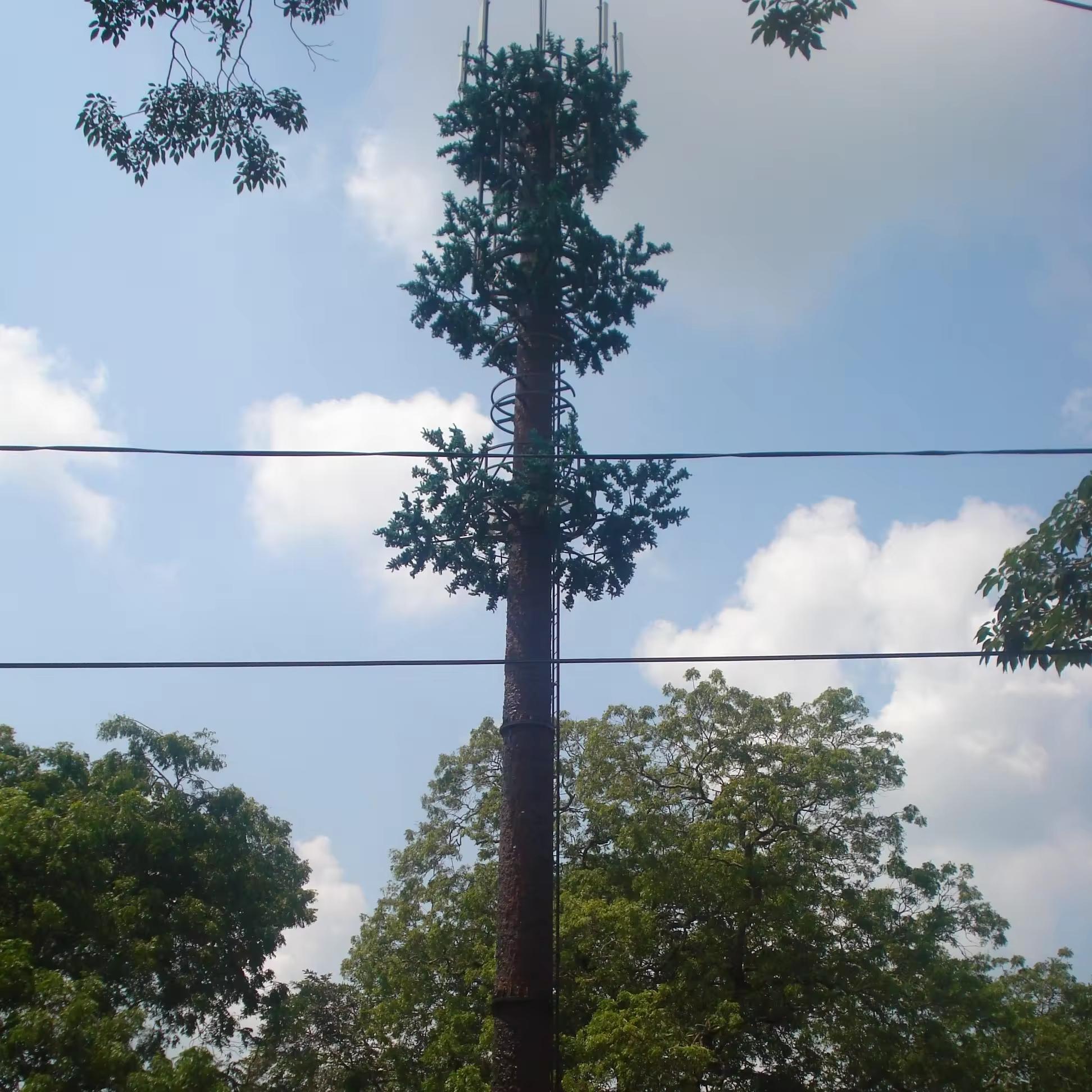 Camouflaged_Telecom_Pine_Tree_Monopole_Tower_01