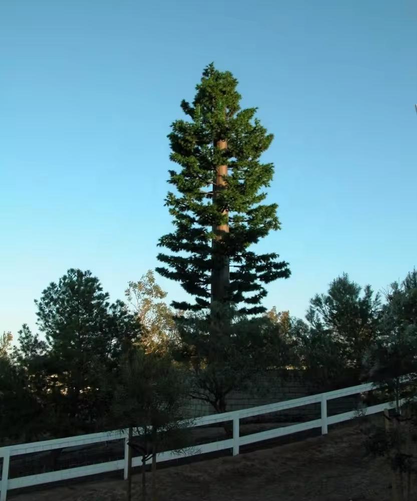 Camouflaged_Telecom_Pine_Tree_Monopole_Tower_02