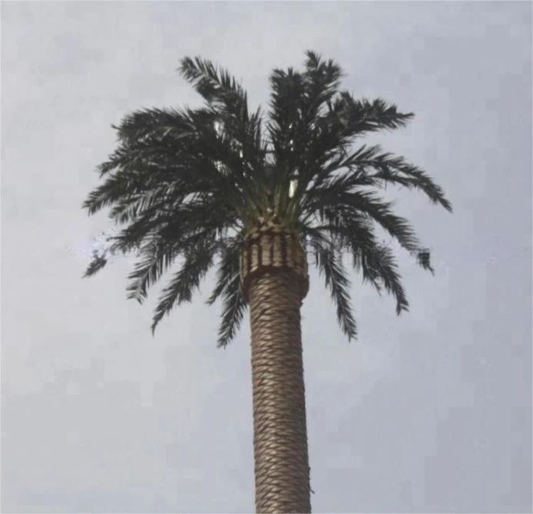 Monopole_Mobile_Antenna_Telecom_Camouflaged_Tree_Tower_01