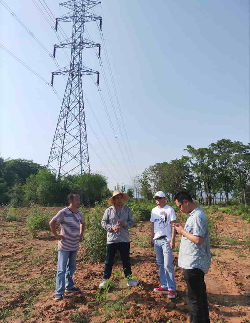 Overhead Line Lattice Steel Towers: Site Installation Supervision 