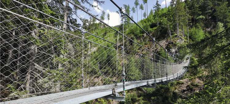 Suspension Pedestrian Bridges 