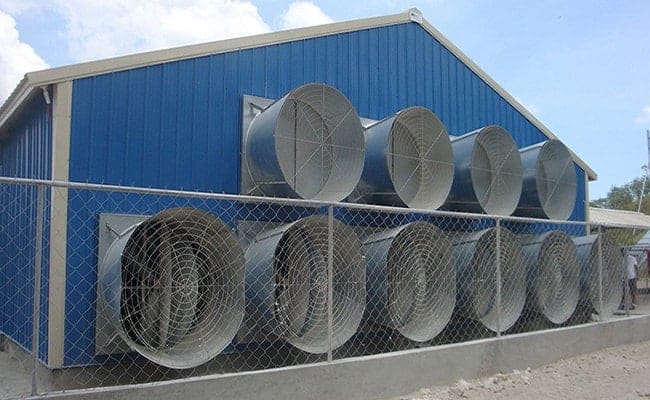 Steel_Structure_Poultry_Building_13_Poultry-house-fan