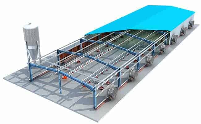 Steel_Structure_Poultry_Building_1_Steel-Structure-Poultry-Building