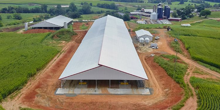 Robot_Dairy_Building_Stall_Barn_2_dairy-barn-metal-building