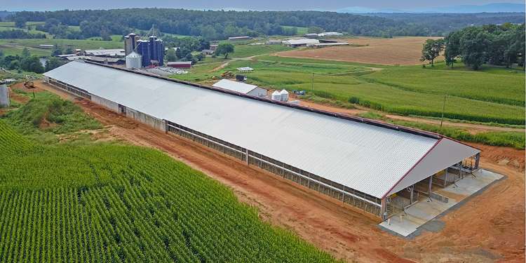 Robot_Dairy_Building_Stall_Barn_3_agricultural-dairy-metal-building