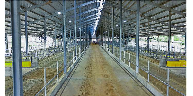 Robot_Dairy_Building_Stall_Barn_4_dairy-barn-galvanized-steel