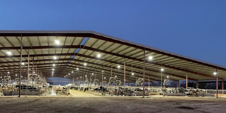 Robotic Dairy Barns Metal Buildings with Open Walls