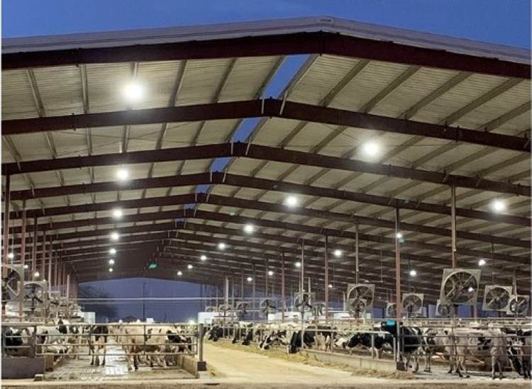 Robotic Dairy Barns Metal Buildings with Open Walls