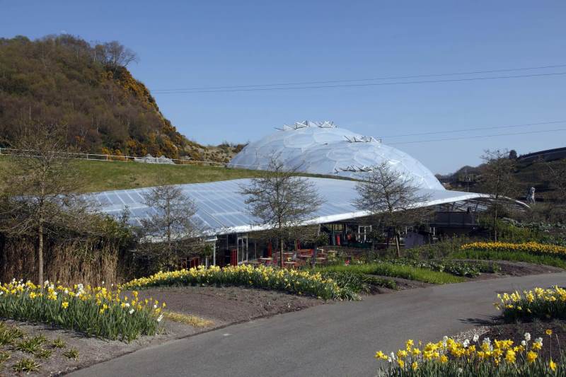 Multiple Canopies With tensioned ETFE Transparent Roofs | Architecturally Exposed Steel