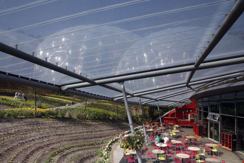 Multiple Canopies With tensioned ETFE Transparent Roofs | Architecturally Exposed Steel