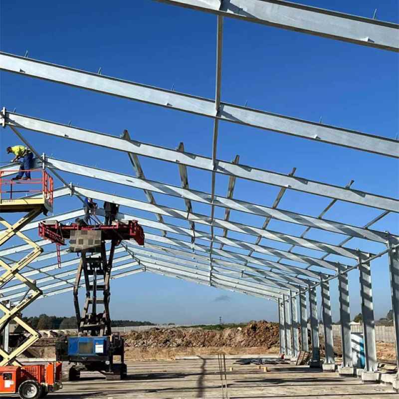 Chicken Farm Buildings | Galvanized Steel Structures: Installation of Steel Structures