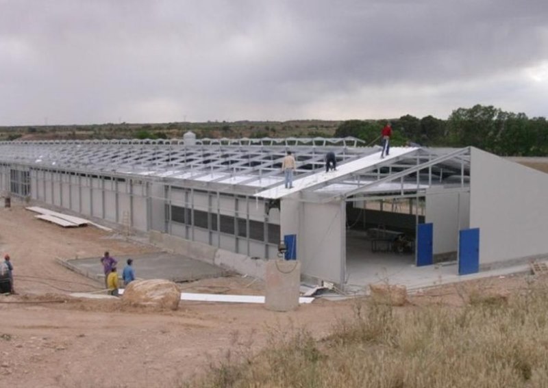 Chicken Farm Buildings | Galvanized Steel Structures