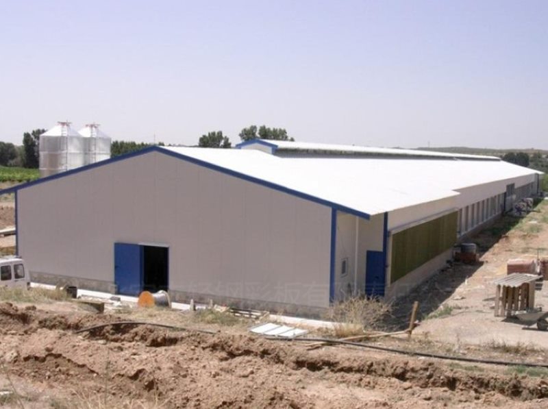 Chicken Farm Buildings | Galvanized Steel Structures