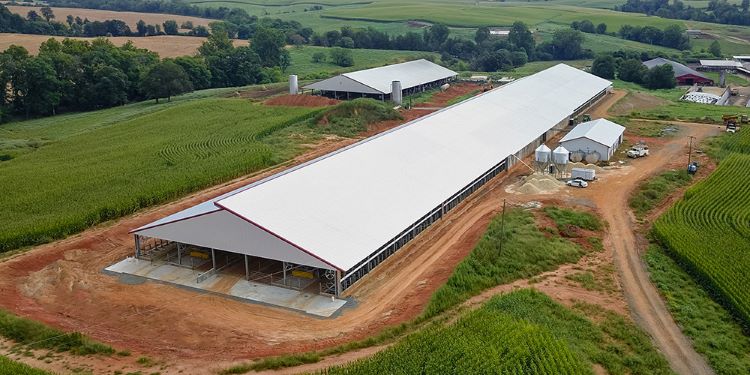 Robot Dairy Building Stall Barn | Steel Building | Made In China ZHM   